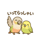 インコのまいにちスタンプ（個別スタンプ：7）
