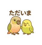 インコのまいにちスタンプ（個別スタンプ：8）