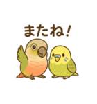 インコのまいにちスタンプ（個別スタンプ：9）