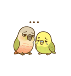 インコのまいにちスタンプ（個別スタンプ：10）