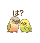 インコのまいにちスタンプ（個別スタンプ：11）