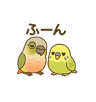 インコのまいにちスタンプ（個別スタンプ：13）
