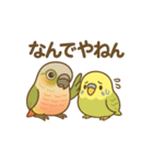 インコのまいにちスタンプ（個別スタンプ：14）