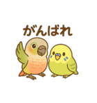 インコのまいにちスタンプ（個別スタンプ：15）