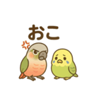 インコのまいにちスタンプ（個別スタンプ：16）