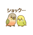 インコのまいにちスタンプ（個別スタンプ：17）