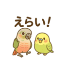 インコのまいにちスタンプ（個別スタンプ：18）