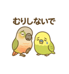 インコのまいにちスタンプ（個別スタンプ：19）