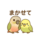 インコのまいにちスタンプ（個別スタンプ：20）