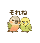 インコのまいにちスタンプ（個別スタンプ：21）