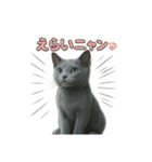 子ネコverロシアンブルー（個別スタンプ：12）