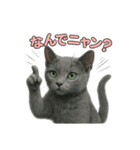 子ネコverロシアンブルー（個別スタンプ：27）