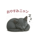 子ネコverロシアンブルー（個別スタンプ：40）