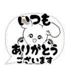 うさぎさん「大き目文字・吹き出し」（個別スタンプ：16）