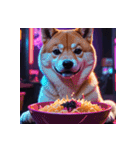 柴犬の日常13（個別スタンプ：1）
