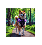 柴犬の日常13（個別スタンプ：12）