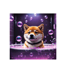 柴犬の日常13（個別スタンプ：16）