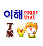 韓国語「ハングル」,日本語,英語 . 連絡用（個別スタンプ：14）