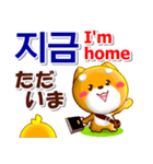 韓国語「ハングル」,日本語,英語 . 連絡用（個別スタンプ：23）