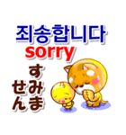 韓国語「ハングル」,日本語,英語 . 連絡用（個別スタンプ：37）