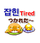 韓国語「ハングル」,日本語,英語 . 連絡用（個別スタンプ：38）