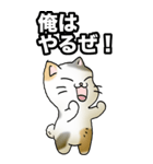 強気と弱気の三毛猫（個別スタンプ：1）
