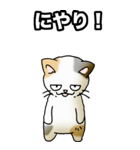 強気と弱気の三毛猫（個別スタンプ：6）