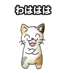 強気と弱気の三毛猫（個別スタンプ：7）