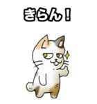 強気と弱気の三毛猫（個別スタンプ：8）