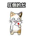強気と弱気の三毛猫（個別スタンプ：10）