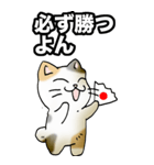 強気と弱気の三毛猫（個別スタンプ：13）