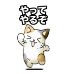 強気と弱気の三毛猫（個別スタンプ：15）