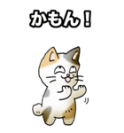 強気と弱気の三毛猫（個別スタンプ：16）