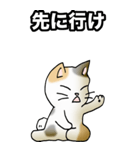 強気と弱気の三毛猫（個別スタンプ：18）