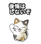 強気と弱気の三毛猫（個別スタンプ：19）