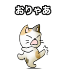 強気と弱気の三毛猫（個別スタンプ：20）