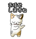 強気と弱気の三毛猫（個別スタンプ：22）
