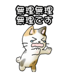 強気と弱気の三毛猫（個別スタンプ：24）