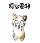 強気と弱気の三毛猫（個別スタンプ：25）