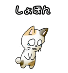 強気と弱気の三毛猫（個別スタンプ：26）