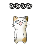 強気と弱気の三毛猫（個別スタンプ：27）