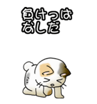 強気と弱気の三毛猫（個別スタンプ：29）