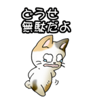 強気と弱気の三毛猫（個別スタンプ：33）
