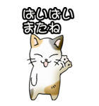強気と弱気の三毛猫（個別スタンプ：36）