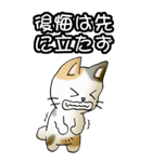 強気と弱気の三毛猫（個別スタンプ：39）