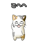 強気と弱気の三毛猫（個別スタンプ：40）
