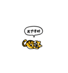 小さいトラ(フキダシ)（個別スタンプ：4）