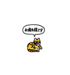 小さいトラ(フキダシ)（個別スタンプ：8）