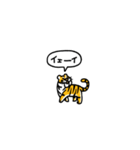 小さいトラ(フキダシ)（個別スタンプ：10）