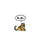 小さいトラ(フキダシ)（個別スタンプ：36）
